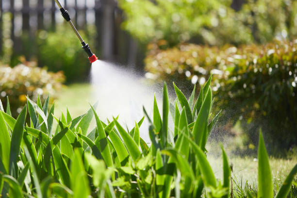 24/7 Emergency Wasp Removal experts in Harbor Bluffs, FL